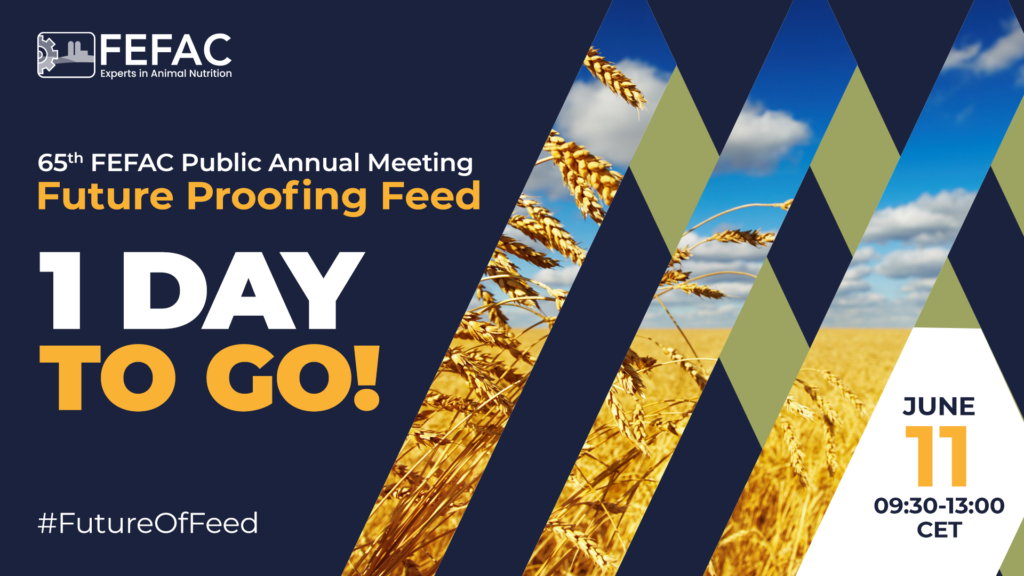 FEFCA_Visual_Asset_Countdown_01